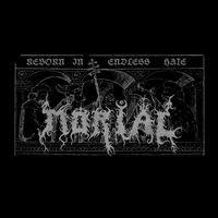 Reborn in Endless Hate / Your Belief in Ruins von Morial