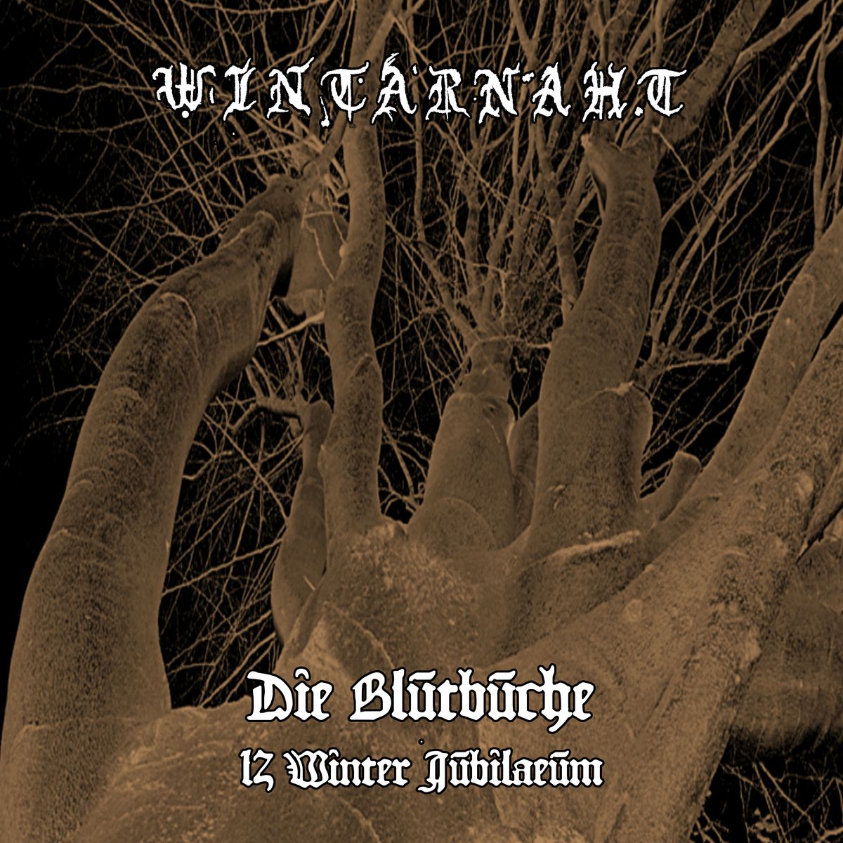 Die Blutbuche