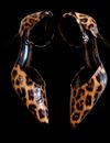 Sassy Furs Pieces