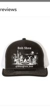 Bob Shea- Bluegrass Animal Jam Hat