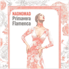 Primavera Flamenca - Fine Art Poster