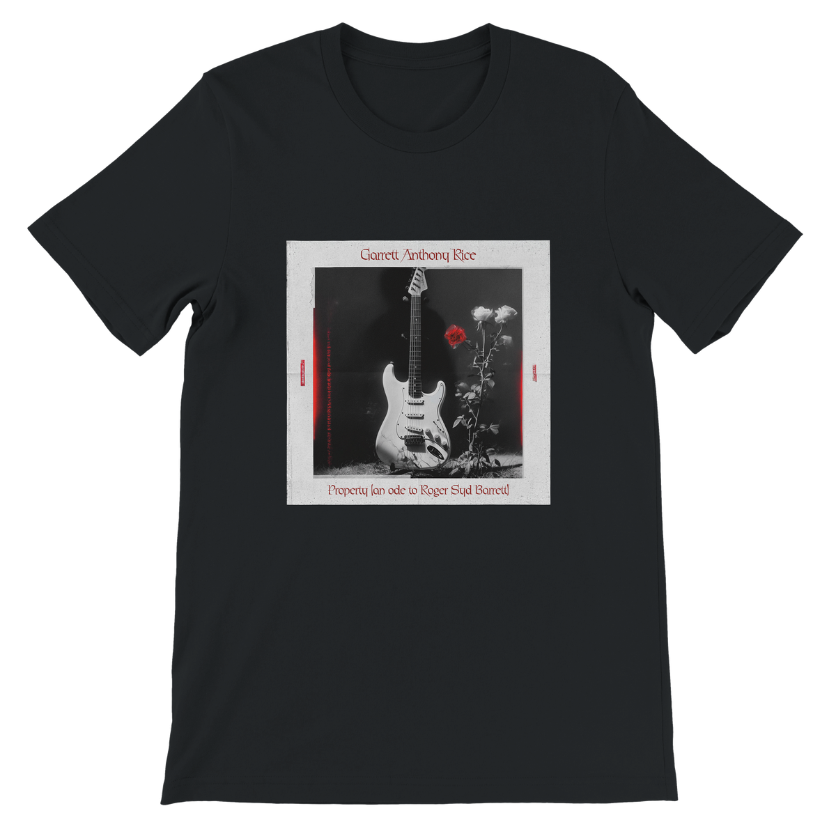 PROPERTY (an ode to Roger Syd Barrett, a genius, 1946-infinity) - Unisex T-Shirt