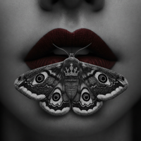 NOT GIVING UP by GIA LENNOX