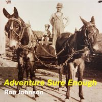 Adventure Sure Enough by Ron J Johnson