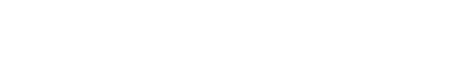THE STONEBEATS