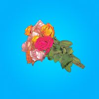 Bouquet by Blue Stoplights