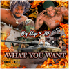 What You Want (feat. Team300Flows) - Fine Art Poster