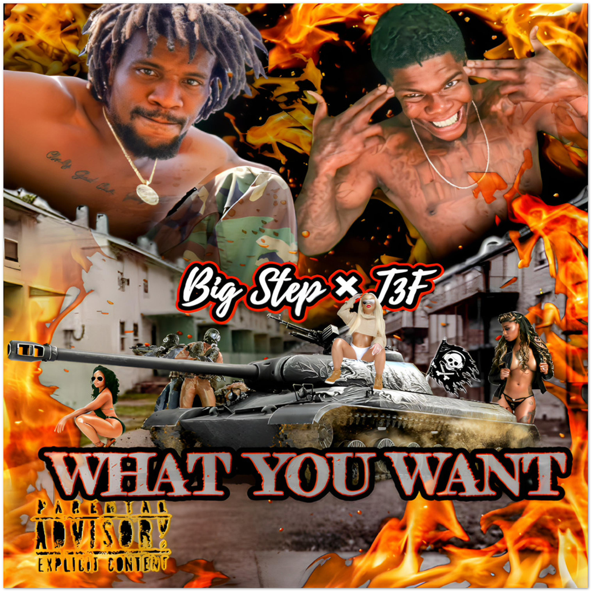 What You Want (feat. Team300Flows) - Fine Art Poster