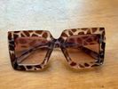 Tortoiseshell Oversized