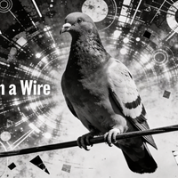 Pigeon On A Wire by truselfproductions