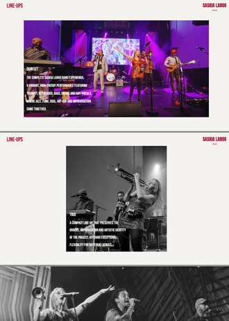 Electronic Press Kit (EPK) van jazz-, funk- en hiphopartiest Saskia Laroo met biografie, concertformaties, foto's, video's, workshops en boekingsinformatie.