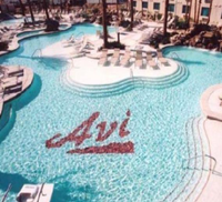TCB at Avi Hotel & casino