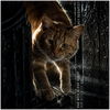 BAD MILK BLOOD ROBOT (HERE KITTY KITTY MIX) - Fine Art Poster