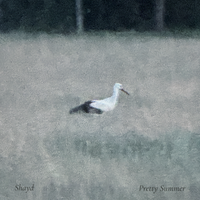 Pretty Summer by Shayd