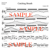 Catching Breath solo for tenor/lead steel pan