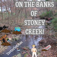 On The Banks of Stoney Creek by TurtleFrogMan