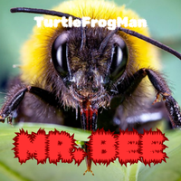 Mr. Bee