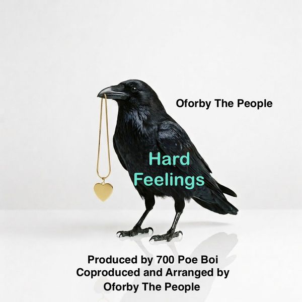 Hard Feelings
