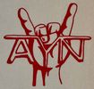 AYN Beer Koozie