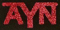 AYN Beer Koozie