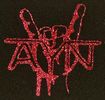 AYN Beer Koozie