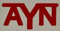 AYN Beer Koozie