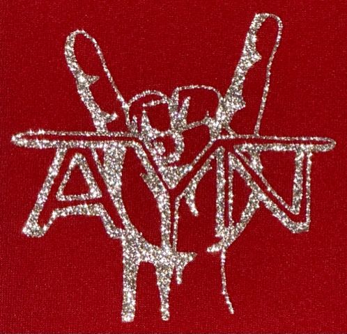 AYN Tall Boy Koozie