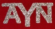 AYN Beer Koozie