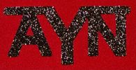 AYN Slim Koozie