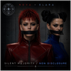 Non Disclosure/Silent Majority - Fine Art Poster