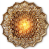 Two Hour Feng Shui Consult via What'sApp Video