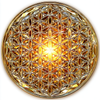 30 Minute Akashic Records Session by Phone