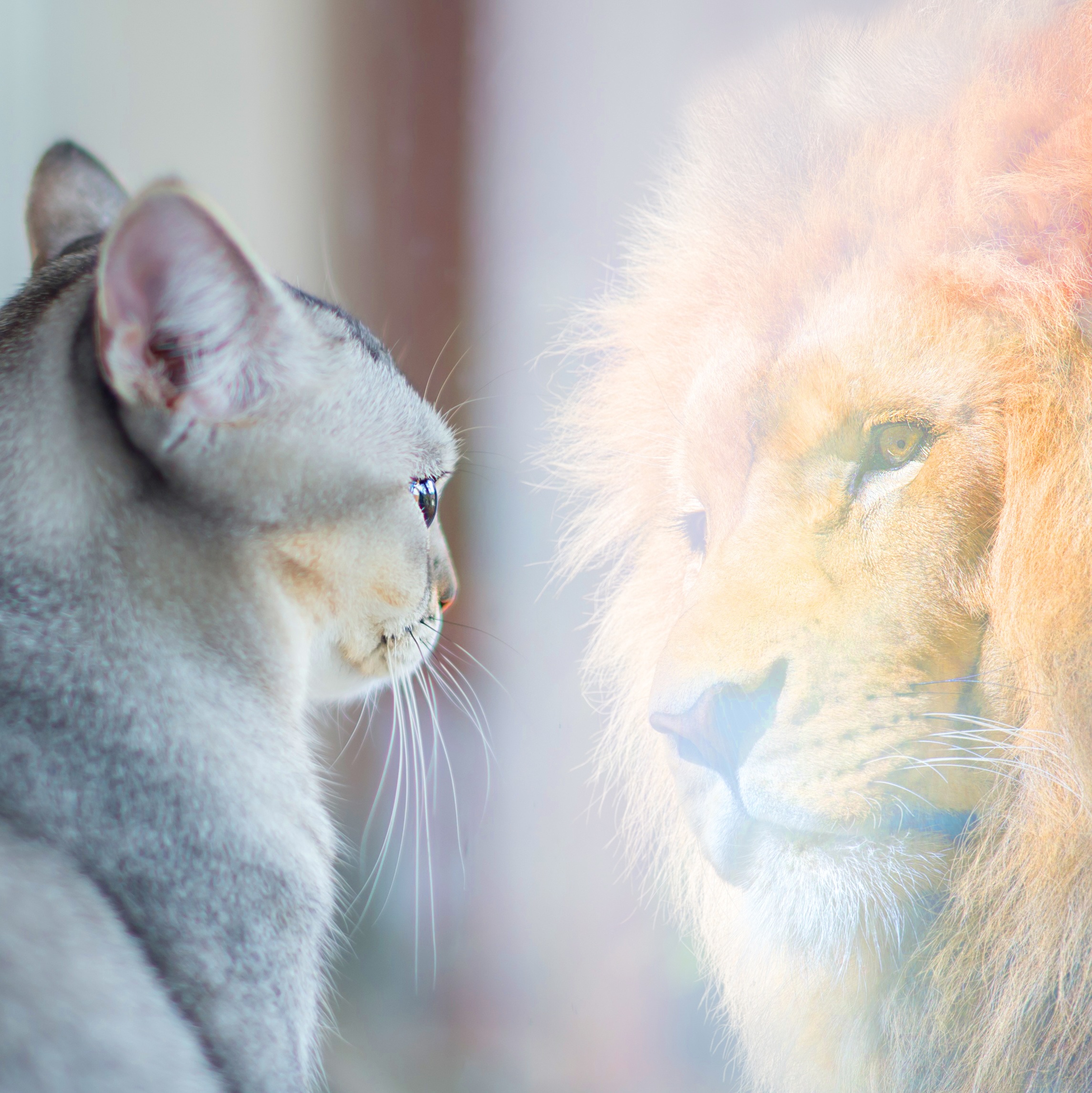 Transformational Life Coach Kelly S. Jones