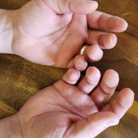 Through My Hands by Jesse Irwin