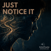 v4 Just Notice It by EchoTrackz
