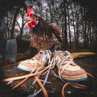 Laces by The Smoaks