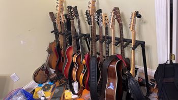 The Herd before a thinning
