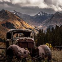 The Choir by Tom P Buckley