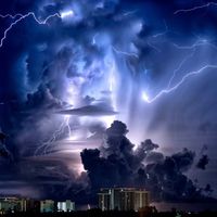 Polarizer by Tom P Buckley
