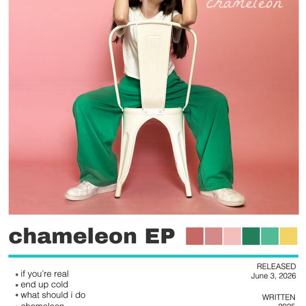 chameleon poster
