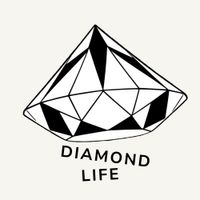 The Diamond Life with Good Grief & dj NIMBUS