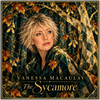The Sycamore - Fine Art Poster