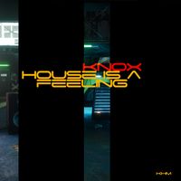 House is a Feeling by Knox