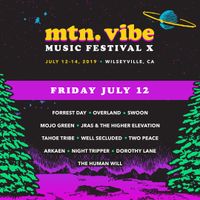 Forrest Day @ Mountain Vibe 10