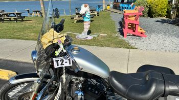 Bike and Attraction. Rider Card secured to bike

