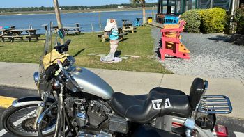 While the photo shows the bike and attraction, the rider card is obstructed.
