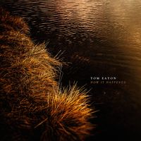 How It Happened by tom eaton