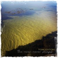 the river never sleeps by Tom Eaton