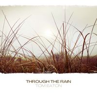 through the rain, part ii by tom eaton