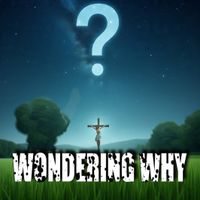 Wondering Why by Dastarr